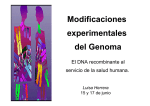 Modificaciones experimentales del genoma.