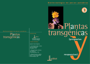 Plantas Transgénicas