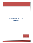 SEGUNDA LEY DE MENDEL