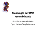Tecnología del DNA recombinante