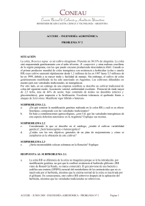 Enunciado y Respuestas Problema 2