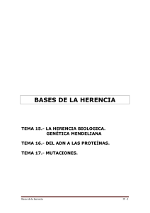 bases de la herencia