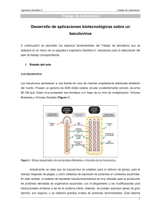 Desarrollo de aplicaciones biotecnológicas sobre un baculovirus