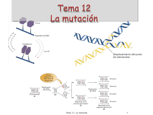Tema 12: DNA: Mutación y reparación