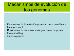 Mecanismos de evoluci&oacute;n de los genomas