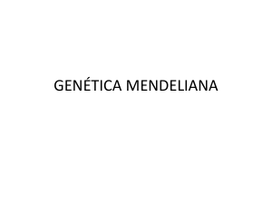 GENÉTICA MENDELIANA