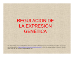 REGULACION DE LA EXPRESIÓN GENÉTICA