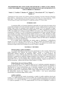 polimorfismo del exon 10 del receptor de la prolactina (prlr)