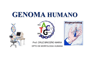 a. Genes idénticos en sentido funcional