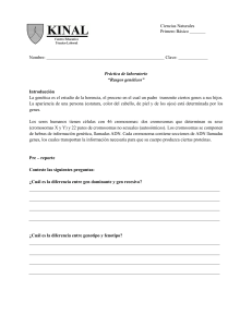 Ciencias Naturales Primero Básico ______ Nombre: Clave: ______ Pr