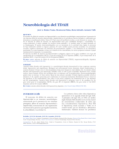 Neurobiología del TDAH - Asociación Colombiana de Neurología