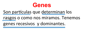 Son par$culas que determinan los rasgos o como nos miramos