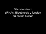 Silenciamiento sRNAs, Biogénesis y función en estrés biótico