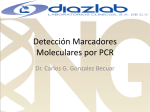 Deteccion de marcadores moleculares por PCR