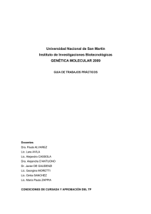 Universidad Nacional de San Martín Instituto de Investigaciones