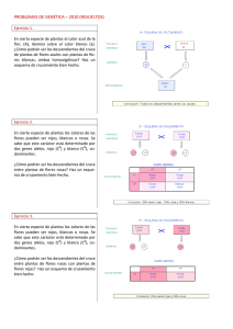 PRO OBLEMAS D E GENÉTICA A – 2010 (RE ESUELTOS)
