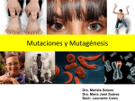 Mutaciones (1)
