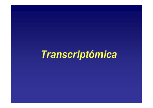 Transcriptómica