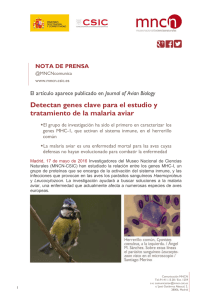 Detectan genes clave para el estudio y tratamiento de la malaria aviar