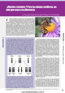 Descargar en PDF - Boletín Biológica