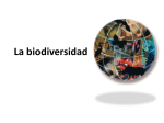 La biodiversidad