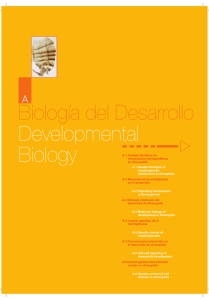Biología del Desarrollo Developmental Biology
