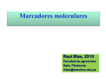 Raul Blas - Marcadores Moleculares