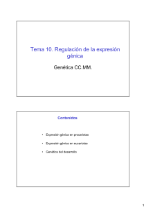 Tema 10. Regulación de la expresión génica