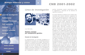 2001-2002 - CNB