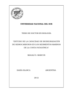 Tesis doctoral Marcos Magali - Repositorio Institucional de la