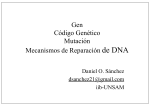 quim biolog Mecan_de_reparacion_DNA para hacer pdf_11jun12