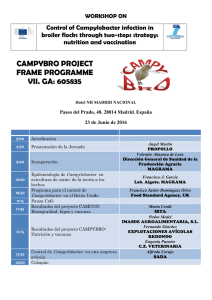 cf camp frame vii. pybro e pro . ga: 6 o pro ogram 60583 oject mme 35