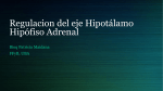 Regulacion del eje Hipotálamo Hipófiso Adrenal