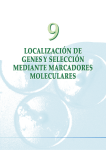 Localización de genes y selección mediante marcadores