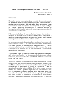 Líneas de trabajo para la dirección del iia UNAM