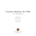 La Olla Deleitosa - Museo Chileno de Arte Precolombino