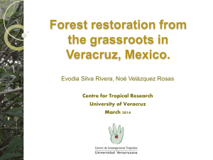 Forest restoration from the grassroots in Veracruz, Mexico