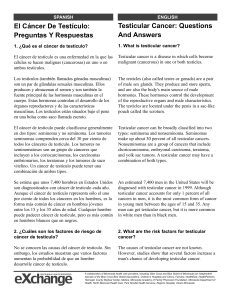 El Cáncer De Testículo