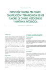 patología tumoral del ovario. clasificación y terminología