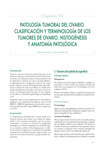 patología tumoral del ovario. clasificación y terminología