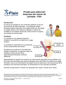 PSA - Screening for Prostate Cancer (Spanish)