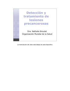 (80 KB PDF, español).