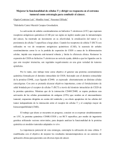 Mejorar la funcionalidad de células T y dirigir su respuesta en el