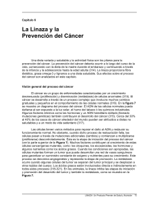 La Linaza y la Prevención del Cáncer