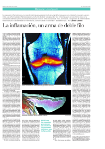 La inflamación, un arma de doble filo