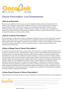 Cáncer Pancreático: Los Fundamentos