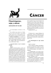 Fitoestrógenos, soja y cáncer