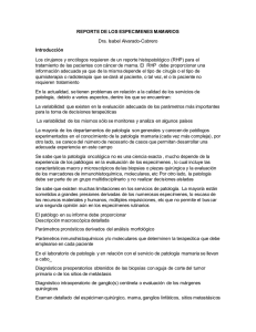 REPORTE DE LOS ESPECIMENES MAMARIOS Dra. Isabel