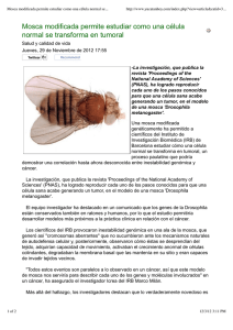 Mosca modificada permite estudiar como una