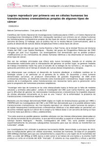 Logran reproducir por primera vez en c&eacute;lulas humanas las